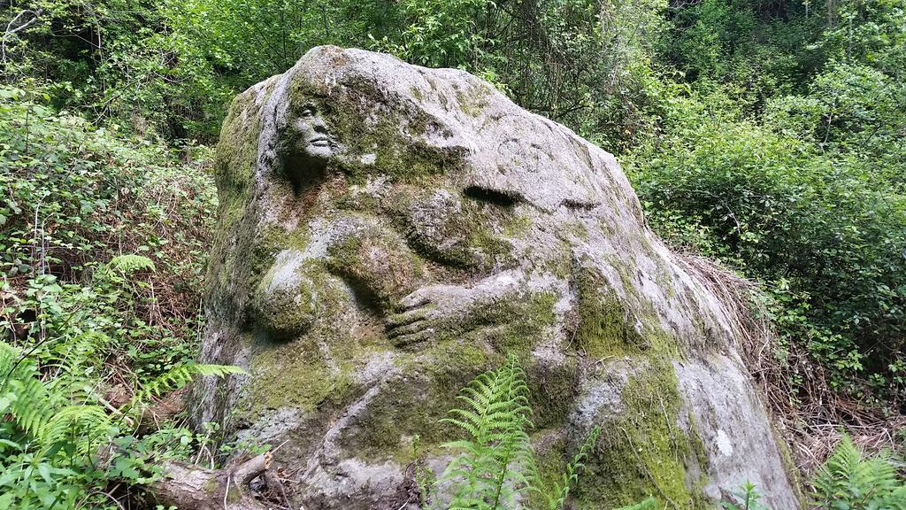 Willa Il Debbio Riccò del Golfo di Spezia Zewnętrze zdjęcie